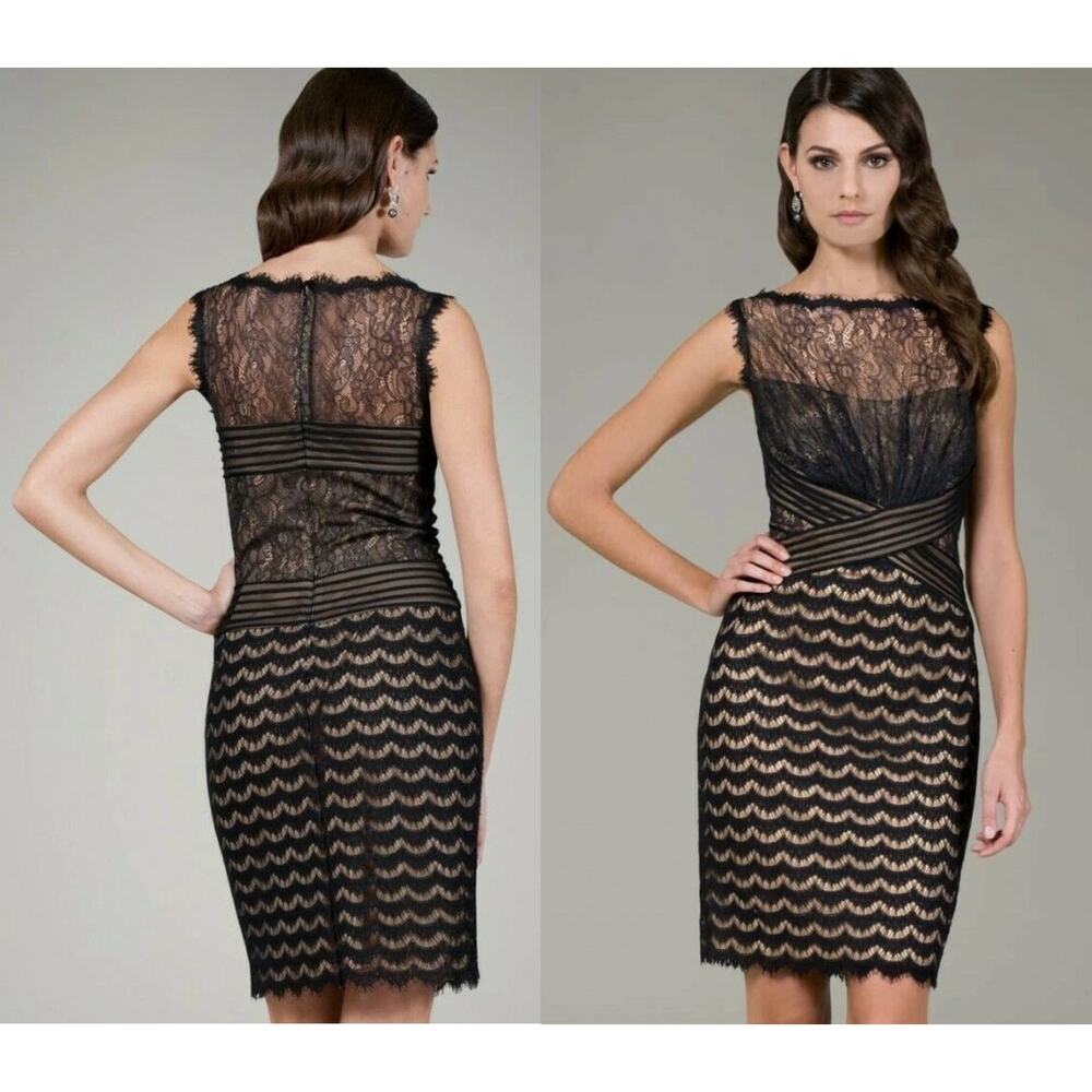 Tadashi Shoji Mixed Lace Pleated Panels Black Nude Whimsogoth Dress Sz 12